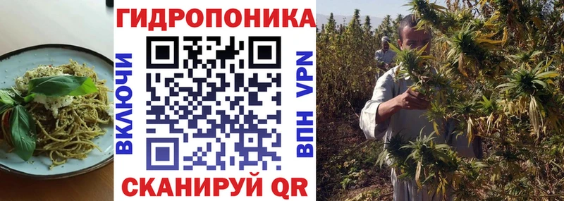 мега онион  Сегежа  Еда ТГК конопля 
