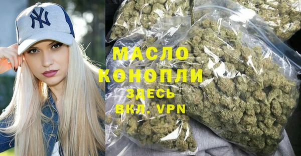 мет Дмитров