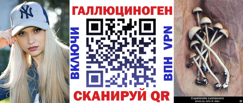 Галлюциногенные грибы MAGIC MUSHROOMS  что такое   Сегежа 